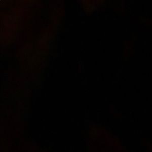 Meet your Posher, Nimo